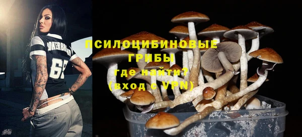 дмт Алексин