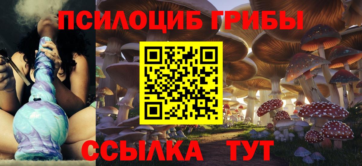 что такое наркотик  Вход с VPN  Псилоцибиновые грибы MAGIC MUSHROOMS  Сокол  Псилоцибиновые грибы мицелий 