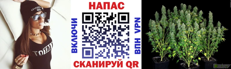 Каннабис марихуана Сокол